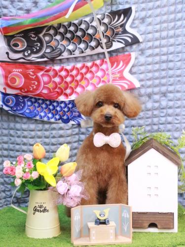 20230502ピナちゃん